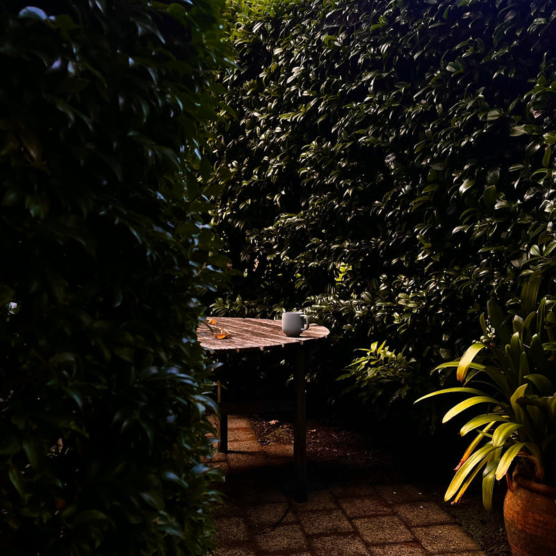 A Simple Morning Routine for Low-Energy Days